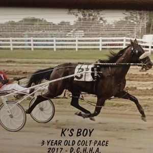 Meet your Posher, Luanne